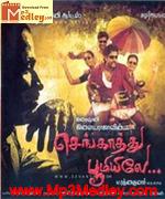 Sengathu Bhoomile 2011 song download